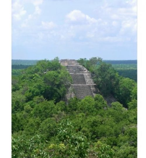 l'édifice 1 sur le site de Calakmul au Campeche. Dificile d'accès mais pas impossible avec les dernières aventures guide francais mexique