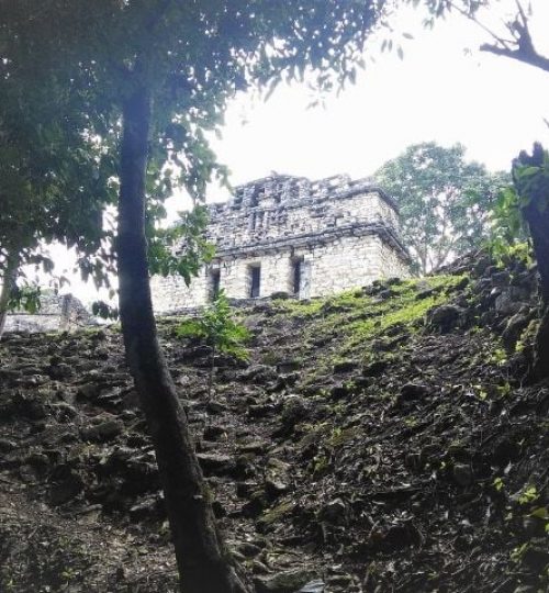 temple maya dans la jungle qui recouvre Yaxchilan , unes desdernières aventures guide francais mexique Chiapas